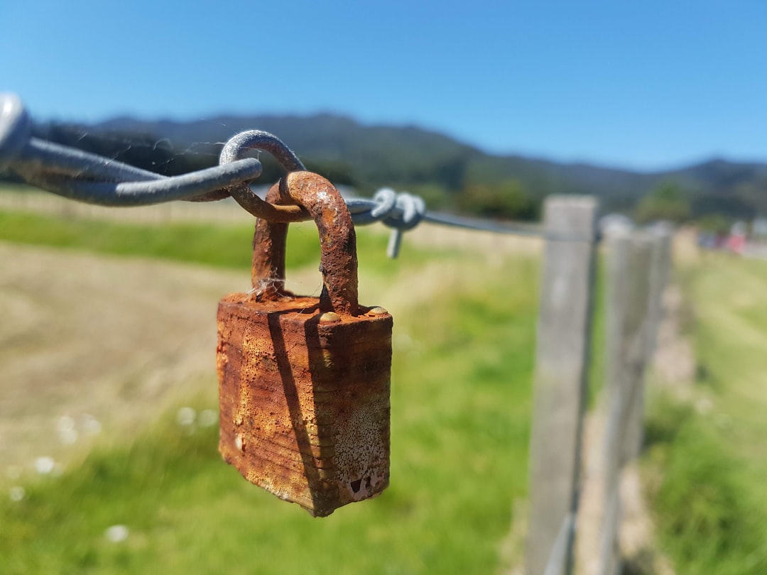 Data Quality Gates Before Release