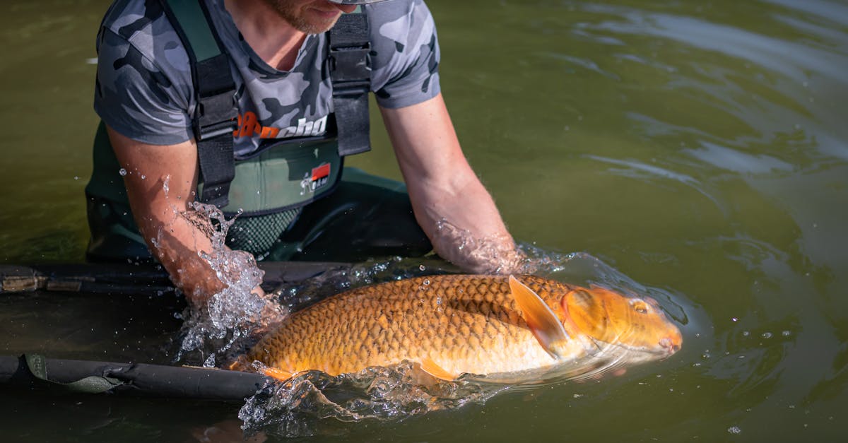 Dependency Update Releases